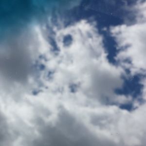 Meet your Posher, Louis